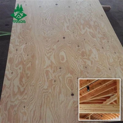 Cấu trúc ván ép Larch
